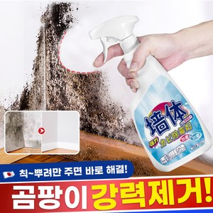 1/1+1 뿌리는 곰팡이 제거제 방지제 벽지 욕실 벽 화장실 베란다 창틀 얼룩 제거, 1개, 500ml