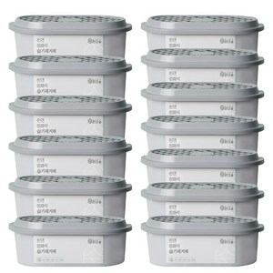 온다숲 반영구 천연 제습제 정화석, 300g, 13개