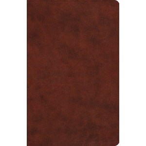 (영문도서) Large Print Value Thinline Bible-ESV Imitation Leather, Crossway, English, 9781433550263