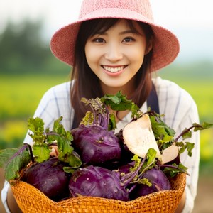 고당도 제주 제주산 콜라비 적콜라비 특상품, 1박스, 2kg