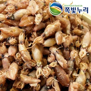 참꼴뚜기 500g 국내산 꼴뚜기 건꼴뚜기 말린꼴뚜기 호랭이 쫄깃한 식감 쪽빛누리, 1개