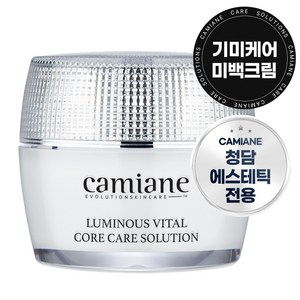 카미안느 기미생성방지 밤 기미크림, 50g, 1개