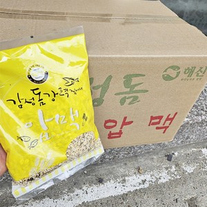 해신 감성돔 압맥 1박스 20개입 감성돔 집어제 순수 압맥 감성돔 참돔낚시, 20개, 260g