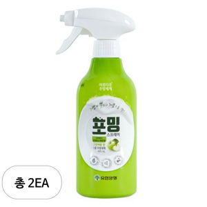 유한양행 포밍 스프레이 주방세제 용기, 485ml, 2개