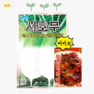 서호무2000립 김장무 가을무 씨앗, 1개