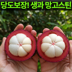 [재구매율1위] 달콤가득 태국 항공직송 프리미엄 생망고스틴, 1박스, 생과 1kg