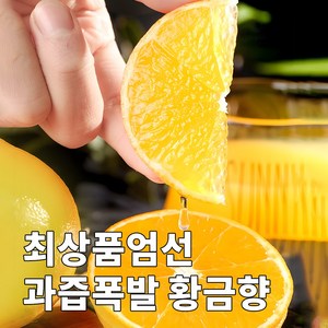 [백화점Vip용] 산지직송 당도선별 극강bix 가정용 황금향, 1박스, 2kg(가정용)