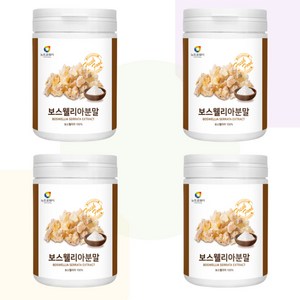 노인관절 관절비타민 연골 분말 200g 4개