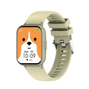 FDUCE Z169 통화가능 블루투스 다기능 스마트 워치