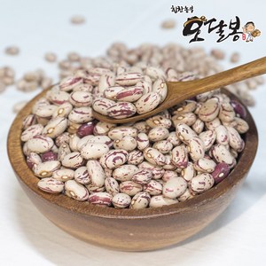 힘찬농부오달봉 수입 호랑이콩 강낭콩 울타리콩 매화콩, 1개, 500g