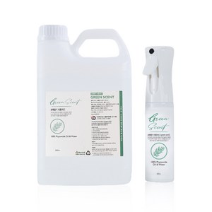 초록향기 피톤치드 스프레이 300ml + 리필 2L 세트, 초록향기 피톤치드 300ml (에어라파) + 2L, 1개