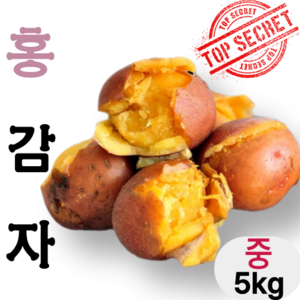 [고니네농수산] 농장직송 포슬포슬 카스테라 햇 홍감자, 1개, 5kg(중)