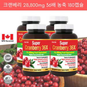 크랜베리 28800mg 180비건캡슐 36배 농축 크렌베리 허바 캐나다, 180정, 4개