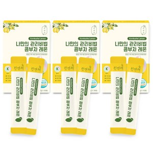 천연채 나만의 관리비법 콤부차 레몬 5g x 30포 3박스 (90포), 3개