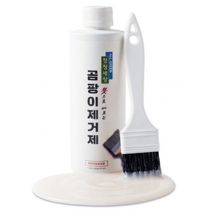 청정세상 붓으로 바르는 곰팡이 제거제 (붓포함), 500g, 1개