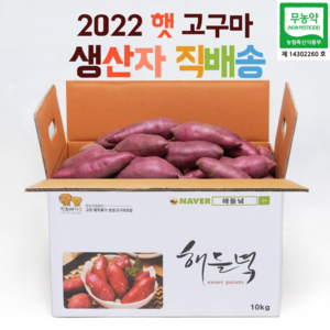 생산자직배송/ 해들녘 무농약 고창황토고구마 3/5/10kg x (왕/ 특상/ 중/ 한입) 사이즈 꿀고구마