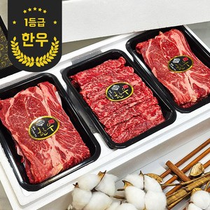 최고급 한우 구이 선물세트 등심600g + 특수부위300g 총 900g, 1개