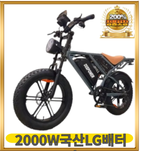 DEEPOWER 전기자전거 오프로드 자토바이 팻바이크 출퇴근 전동자전거 48v 2000w DP-SQ7, LG배터리35ah×120-140km, 알루미늄