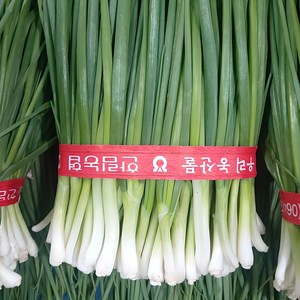 노지 햇 쪽파 깐쪽파 손질쪽파, 2개, 1kg