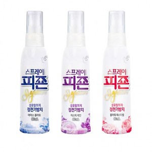 DS피죤 휴대용 섬유탈취제 80ml 정전기방지 탈취스프레이, 미스틱레인, 1개