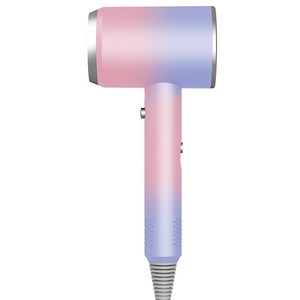 (ANYOU) 헤어드라이어 가정용 미용실 이발소 전용 고출력 고풍력 냉열풍 항온속건 음이온 헤어케어