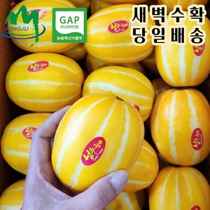 성주 참외 산지직송/당일수확 비파괴 당도선별 (가정용 랜덤과 소과 중과 대과) (정품 중과) 2kg 3kg 5kg 10kg, 1개, 11. 소과 5kg