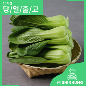 국산 청경채 [신흥유통][무료배송], 1개, 4kg