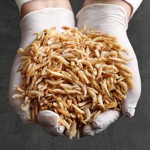 쇼어블룸 보리새우, 1개, 1kg