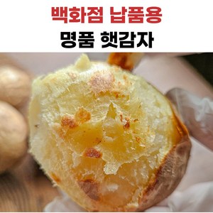 더좋은 수미감자, 1개, 중사이즈, 5kg