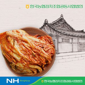한국농협김치 청산 묵은지3kg, 1개, 3kg