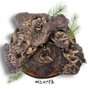 며느리약초 자연산 능이버섯 A급 (특품) 건조 100g