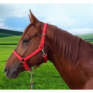 글마스 편리한 착용감 말굴레 내구성 레드 블랙 말고삐, 1개, 레드 1.3m~1.6m이하