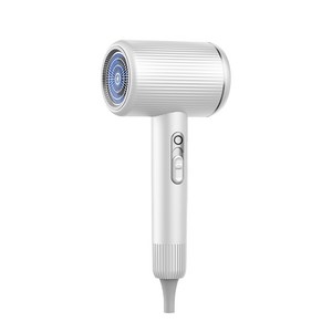 BENAS 음이온 보호 빠른 건조 경량 헤어드라이어 2100W