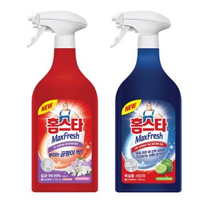 홈스타 뿌리는 [곰팡이 싹+욕실세정제] 750ml, 1세트