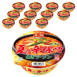 뉴터치 스고멘 여름의 매운 미소 네기 라멘 132g