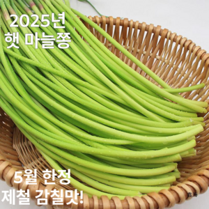 [5월한정수확!] 쫀득감칠맛 아삭달달 국내산 햇 마늘쫑, 1박스, 1kg
