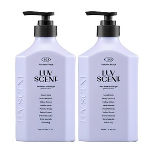 럽센트 어텀비치 바디워시 씨솔트머스크향, 500ml, 2개