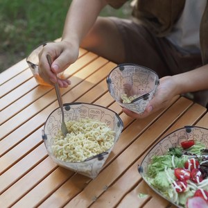 대성 접이식 휴대용 캠핑 식기 세트, 그릇*4, 1세트