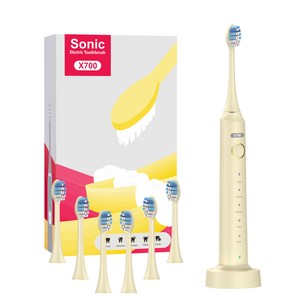 프리미엄 음파 전동칫솔 6모드 6개 브러시헤드 포함 USB 충전식