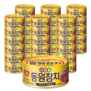 동원 DHA참치, 250g, 24개