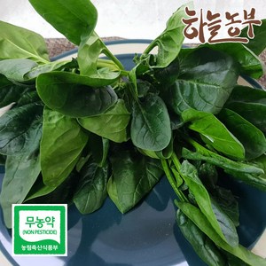 하늘농부 친환경 시금치 200g, 1봉