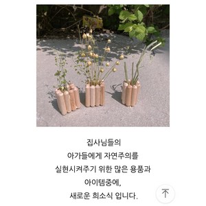 햄스터 나무 화분 꽂이, 1개