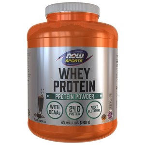 나우푸드 웨이 프로틴 파우더 단백질 보충제 크리미 초콜릿