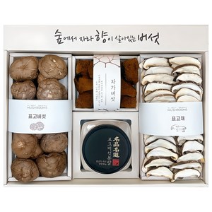 올어바웃머쉬룸 차가담은 표고 혼합세트