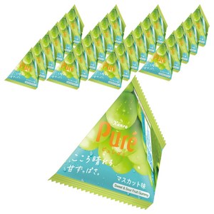칸로 퓨레구미 쁘띠 삼각 머스캣