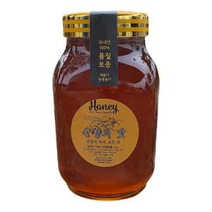 산청의맛 지리산산청벌꿀 국내산100% 명품 벌꿀 야생화꿀 무설탕꿀 무설탕 잡꿀 자연꿀 숙성꿀, 2.4kg, 1개