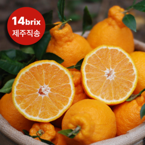 14bix 당도선별 제주 한라봉 산지직송, 1개, 가정용 3kg