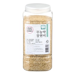 월드그린 싱싱영양통 무농약 현미, 2kg, 1개