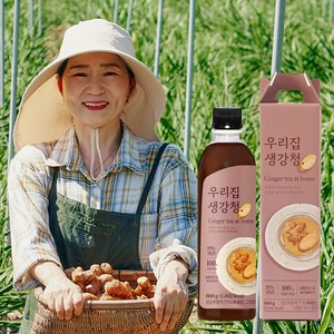 국내산 100% 안동 생강 천연벌꿀 함유 우리집 생강청, 1개입, 600g, 1박스