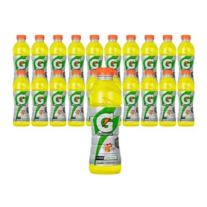 게토레이 레몬, 600ml, 20개